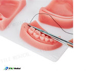 Pad pratique de suture de plaie au toucher oral réaliste pour l'éducation dentaire
